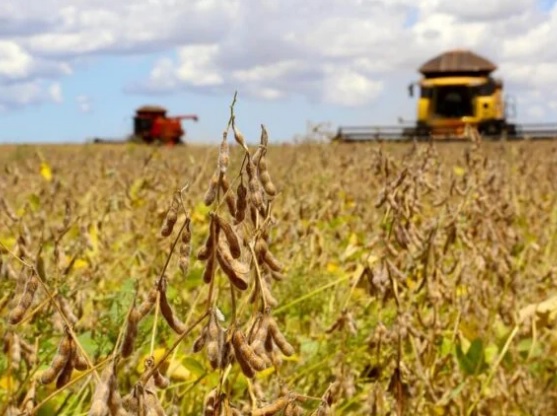 VBP agropecuário fecha 2021 com alta de 10,1%