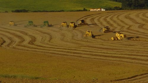 Produção de soja na América do Sul impulsiona oferta global