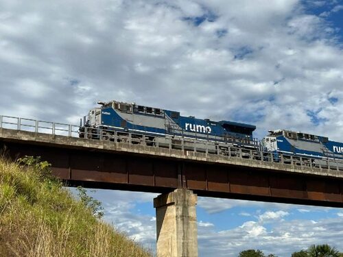 Justiça suspende licenciamento ambiental de ferrovia 