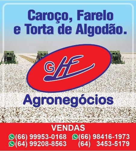 Cotações Agropecuárias, soja, milho e diversos, acompanhe aqui