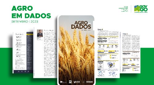 Produção de trigo em Goiás é destaque do Agro em Dados de setembro