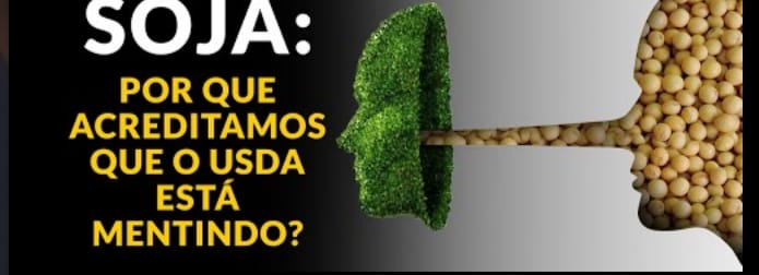 Soja: Por que acreditamos que USDA está mentindo?