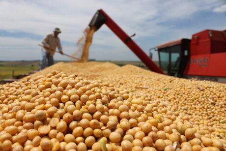 Preço da soja sobe no Mato Grosso impulsionado por alta em Chicago