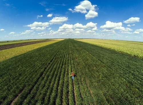 Área a ser colhida em 2023 é de 77,1 milhões de hectares, 5,2% maior que em 2022, diz IBGE