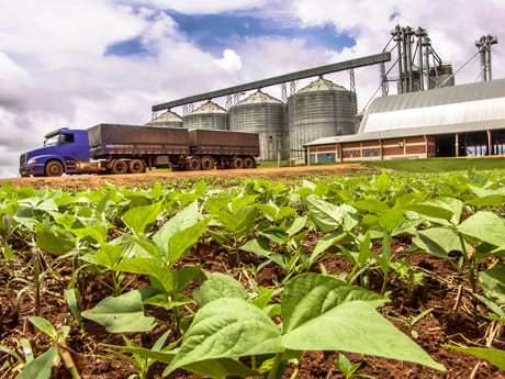 Agronegócio goiano somou US$ 1,1 bilhão em vendas externas em abril