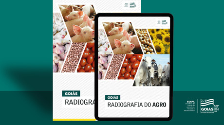 Radiografia do Agro mostra a diversidade da produção agropecuária goiana