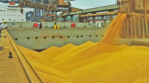 Agro na dianteira das exportações: Confira