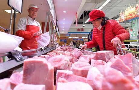 Carne suína e animal vivo apresentam queda nos preços, aponta Cepea