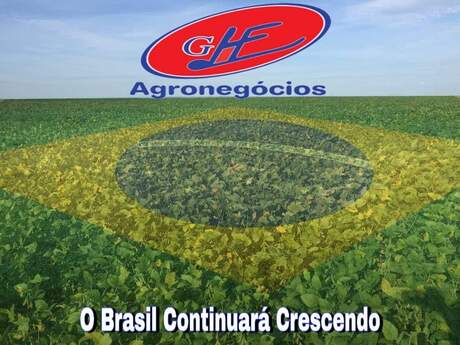 Agroindústria pode crescer até 7,4% em 2021, aponta estudo da FGV