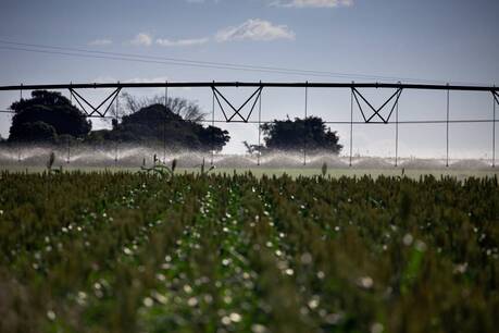 Evolução da irrigação no Brasil é fruto de muita pesquisa