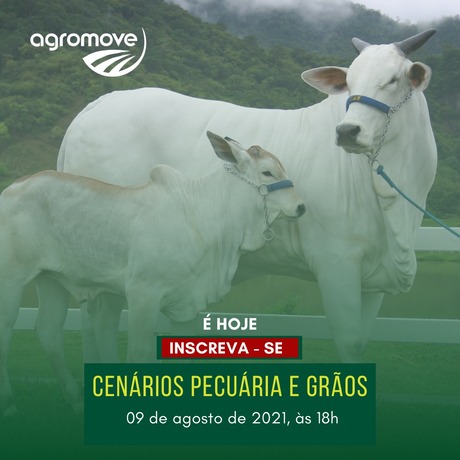 Cenários pecuária e grãos Agromove Premium