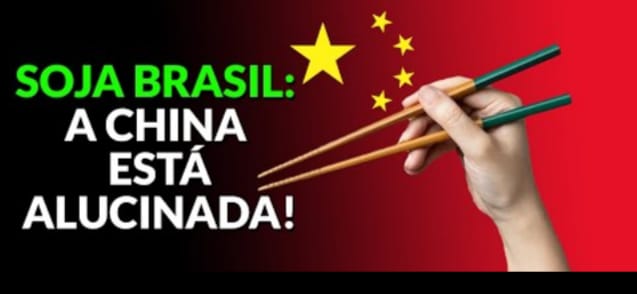 Soja Brasil: A China está alucinada!