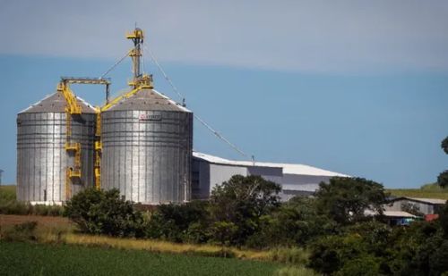 Após anos de altas, cooperativas agropecuárias tiveram queda de faturamento em 2023