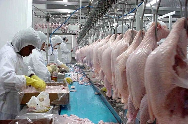 Medidas restritivas para conter Covid-19 têm influenciado variações de preço da carne de frango