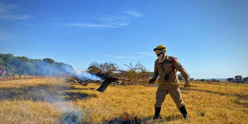 Leia Goiás intensifica monitoramento de queimadas em áreas agrícolas