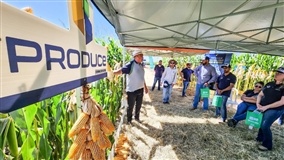 Evento em Dourados vai mostrar como empreender no agro