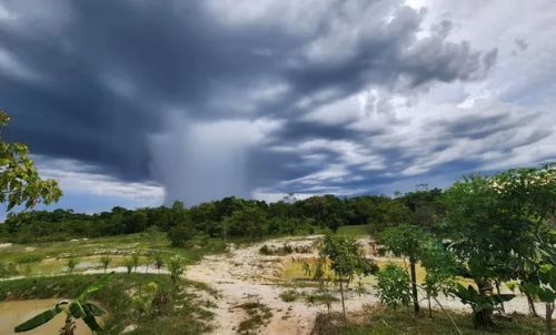 Ventania devasta bananais em SP com prejuízo de R$ 25 milhões