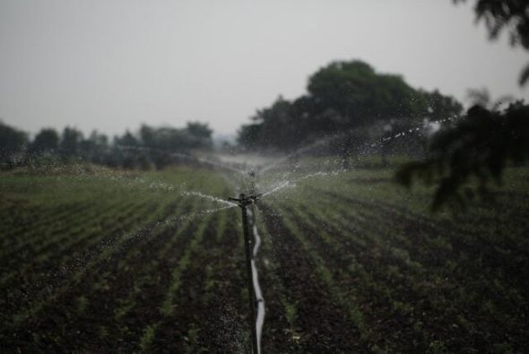 Sistema de irrigação viabilizará inclusão produtiva e segurança alimentar no DF