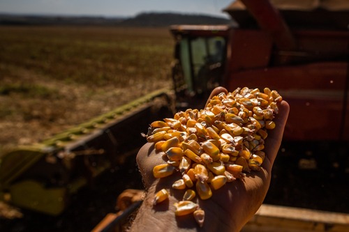 Goiás bate recorde na produção de grãos na safra 2022/2023