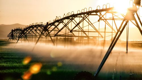 Leia MIDR reconhece novo polo de agricultura irrigada no Mato Grosso do Sul