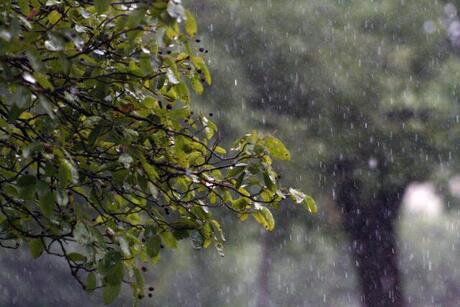 Previsão do tempo: alerta para tempestade e ventania