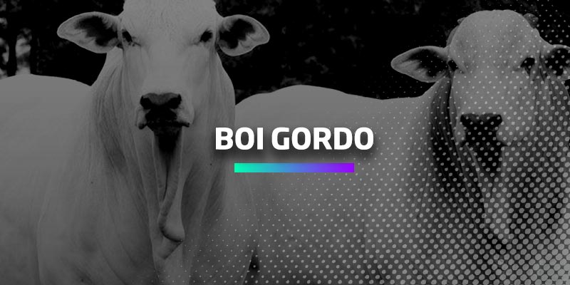 Cotações - Boi gordo