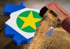 Centro-Oeste: Agronegócio atrai brasileiros de outros estados