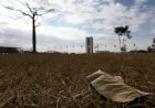 Inmet emite alerta vermelho para baixa umidade em 5 estados e no Distrito Federal