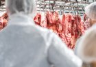 Seis frigoríficos de Mato Grosso são habilitados a exportar carne bovina para a Indonésia