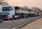 Carreta carregada com soja é furtada em posto às margens da BR-050, em Campo Alegre