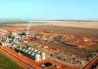 Neomille obtém R$ 300 milhões do BNDES para ampliar usina de milho em Goiás