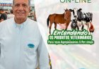 Curso Entendendo os Produtos Veterinários para lojas agropecuárias e pet shops.