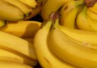Certificação e manejo integrado fortalecem a produção de banana na Bahia
