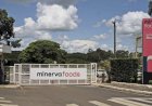Minerva Foods é a primeira indústria frigorífica de bovinos a conquistar o certificado ISO 45001 na América do Sul
