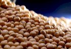 Soja cai 0,40% no PR em 14/01 e margens apertam em janeiro