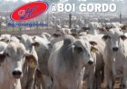 Cotações do boi gordo – 2/2/26