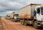 Soja: Frete dispara em Mato Grosso com congestionamento em Miritituba