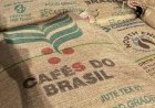 Bangladesh recebe primeiro embarque de café verde brasileiro
