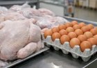Avicultura começa 2026 sob pressão: frango cai pelo 3º mês e ovos disparam