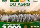 LEILÃO VIRTUAL BR DO AGRO