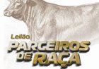 LEILÃO PARCEIROS DE RAÇA