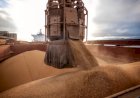 Cargill suspende exportação de soja do Brasil para a China após mudança em inspeção