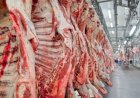 Na contramão de outros alimentos, preços internacionais da carne bovina continuam subindo