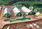 Cooperativa inaugura complexo de R$ 770 milhões para processar 3 mil toneladas de soja por dia no Paraná