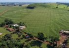 Parceria com Google libera imagens e promete destravar o Cadastro Ambiental Rural