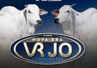 31º LEILÃO NOVA ERA VR JO & CONVIDADOS