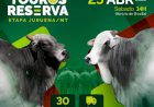 57º LEILÃO TOUROS RESERVA JACAREZINHO - ETAPA MT
