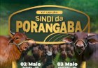 11º Leilão Sindi da Porangaba - Etapa Elite
