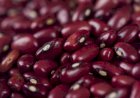 Mercado de feijão iniciou abril em queda, aponta indicador Cepea/CNA