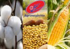 Agro tem 1º trimestre histórico em 2026, com mais de US$ 38 bilhões em exportações